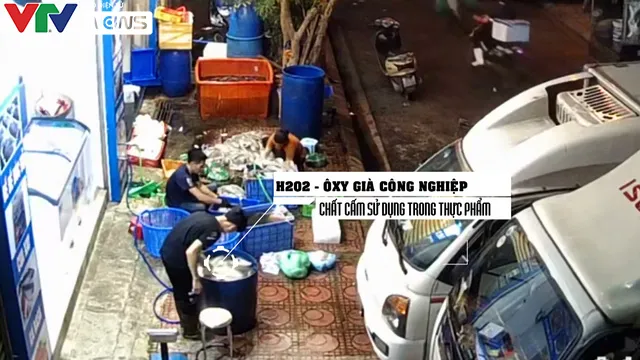 Mực thối tẩy trắng vào nhà hàng ở chợ Long Biên: Lỗ hổng chết người ở đâu? - Ảnh 5.