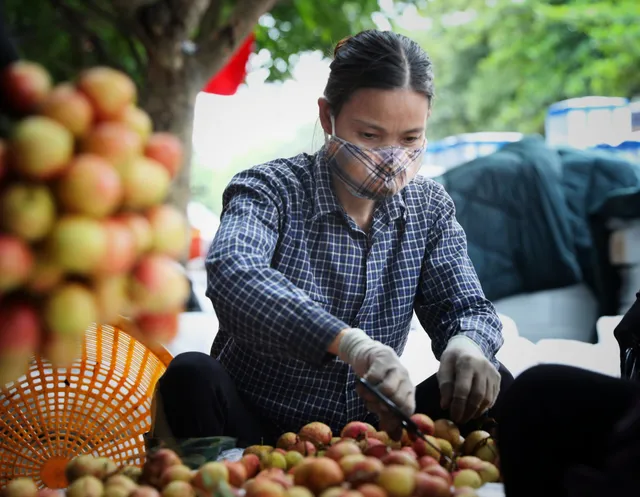 Từ tâm dịch, 15 tấn vải thiều Bắc Giang lên đường sang Nhật - Ảnh 1.