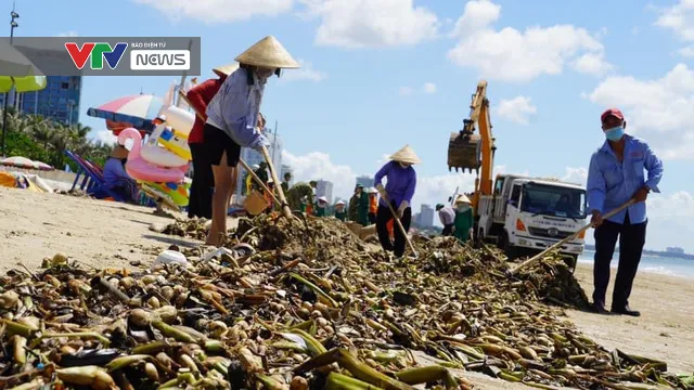 100 tấn rác tràn vào bãi biển Vũng Tàu - Ảnh 1.