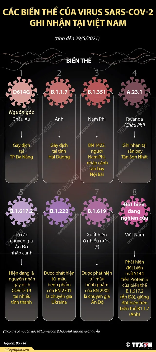 8 biến thể của virus SARS-CoV-2 ghi nhận tại Việt Nam - Ảnh 1.