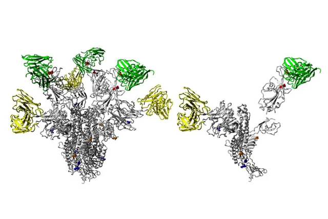 Cảnh báo biến thể B.1.617 của virus SARS-CoV-2 bùng phát toàn cầu - Ảnh 1. Cảnh báo biến thể B.1.617 của virus SARS-CoV-2 bùng phát toàn cầu - Ảnh 1.