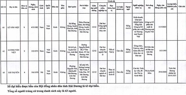 Đà Nẵng, Hải Dương công bố kết quả bầu cử đại biểu HĐND - Ảnh 21.