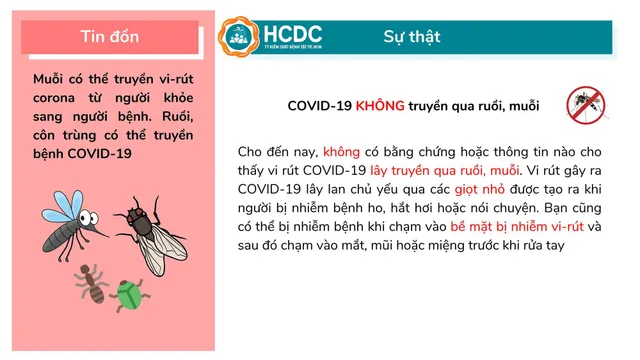 Những hiểu lầm phổ biến trong mùa dịch COVID-19 - Ảnh 10.