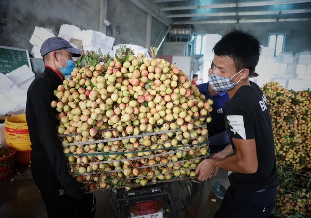 Tiêu thụ nông sản trên nền tảng số: Để không còn phải “giải cứu” - Ảnh 1.