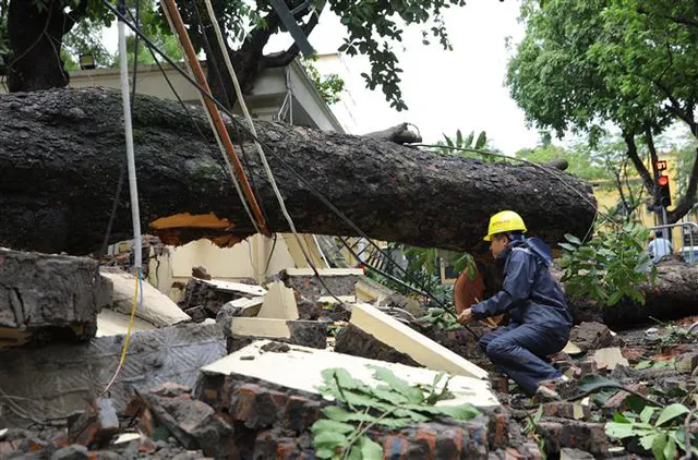 Hà Nội: Cây to bật gốc đè sập tường, chắn ngang phố Hỏa Lò - Ảnh 3.