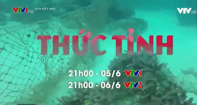 Thức tỉnh: Thông điệp ý nghĩa về bảo vệ môi trường (21h, 5/6, VTV1) - Ảnh 2.