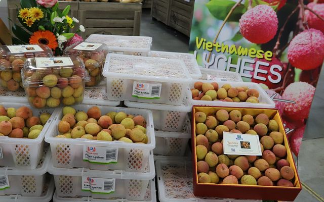 Vải thiều Việt tại Australia được trả giá gần 52 triệu đồng/1kg - Ảnh 1.