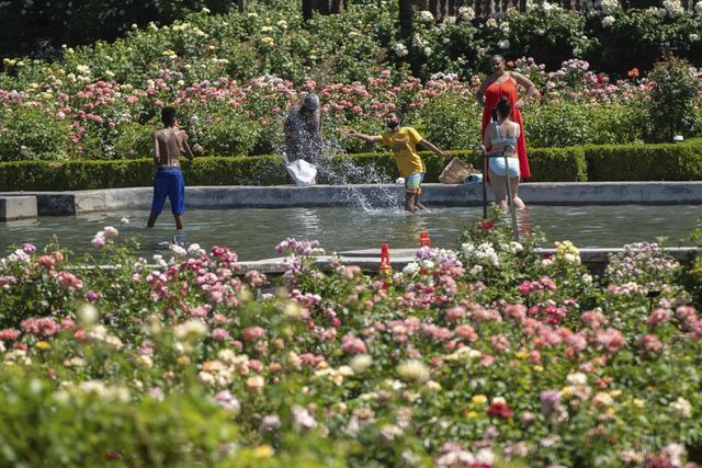 Canada, miền Tây nước Mỹ hứng chịu nắng nóng kỷ lục, nhiệt độ lên tới hơn 46 độ C - Ảnh 3.