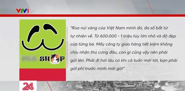 Đeo mác khoe thú cưng buôn bán trái phép động vật hoang dã trên TikTok - Ảnh 2.