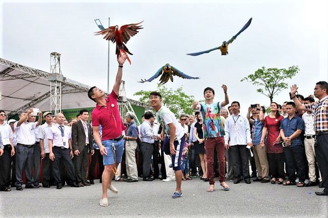 Tháng hành động vì môi trường suy nghĩ về thú chơi chim cảnh - Ảnh 2.