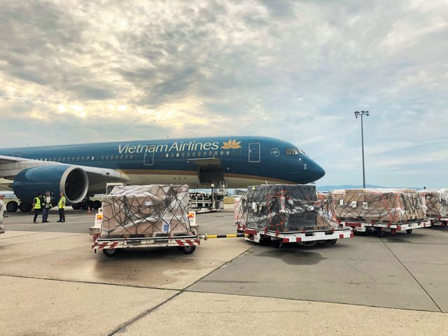 Ăn dè tiết kiệm, cõng thêm hàng hóa…, Vietnam Airlines tái cơ cấu vượt bão COVID-19 - Ảnh 3.