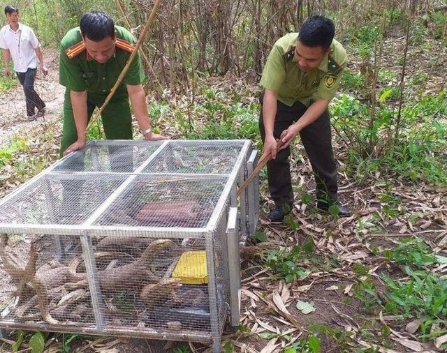 Hai người phụ nữ bị xử phạt hơn 1 tỷ đồng vì buôn bán kỳ đà vân - Ảnh 1.