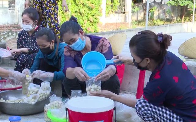 Nghĩa đồng bào hướng về TP Hồ Chí Minh: Ai có gì góp nấy, con cá, mớ rau đều đáng quý - Ảnh 3.