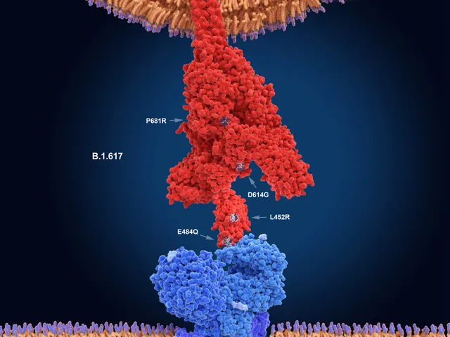 Người tiêm đủ vaccine và khả năng mắc COVID-19 - Ảnh 3. Người tiêm đủ vaccine và khả năng mắc COVID-19 - Ảnh 3.