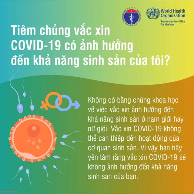 Sự thật những tin đồn về vaccine phòng COVID-19 - Ảnh 1.