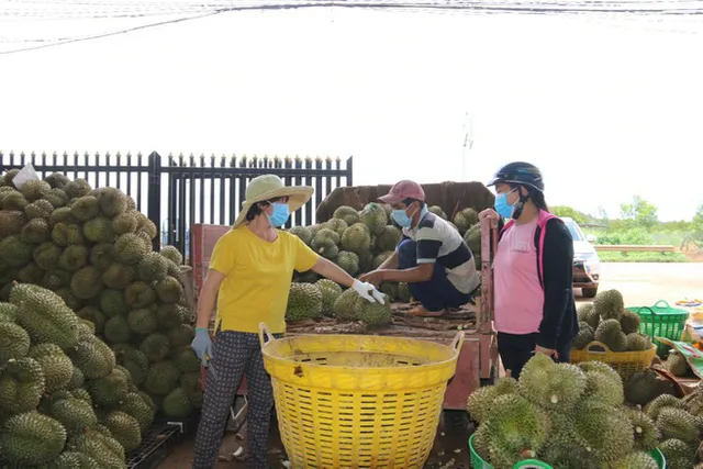 Nông sản Cần Thơ trước vận hội mới - Ảnh 1.