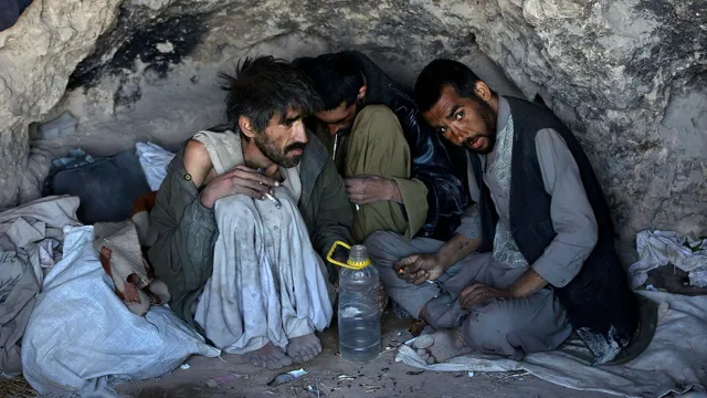 Cam kết không sản xuất thuốc phiện của lực lượng Taliban liệu có thành sự thật? - Ảnh 2. Cam kết không sản xuất thuốc phiện của lực lượng Taliban liệu có thành sự thật? - Ảnh 2.