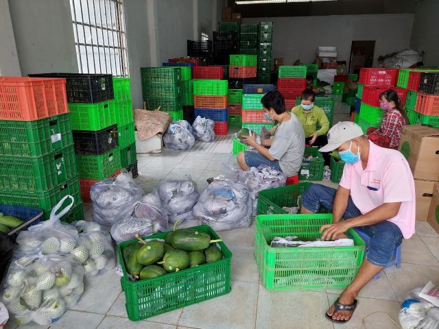 Hợp tác xã - “Cầu nối” tiêu thụ nông sản mùa dịch - Ảnh 2.