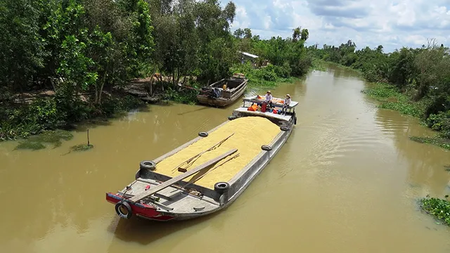 Mở rộng giao thông thủy vận chuyển lúa gạo - Ảnh 1.