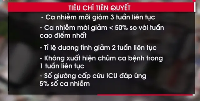 Tiêu chí nào để TP Hồ Chí Minh trở lại bình thường mới? - Ảnh 1.