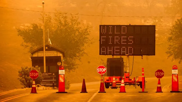 Cháy rừng hoành hành ở California, cây lớn nhất thế giới được bọc trong lớp vải chống lửa - Ảnh 2.