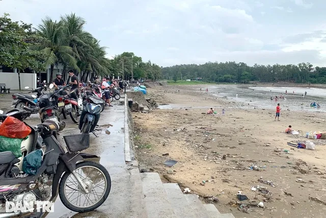 Hàng trăm tấn ngao dạt vào bờ biển sau mưa bão - Ảnh 9.