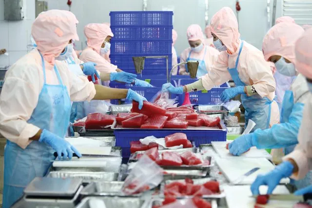 11 hiệp hội kiến nghị miễn đóng bảo hiểm xã hội - Ảnh 1. 11 hiệp hội kiến nghị miễn đóng bảo hiểm xã hội - Ảnh 1.