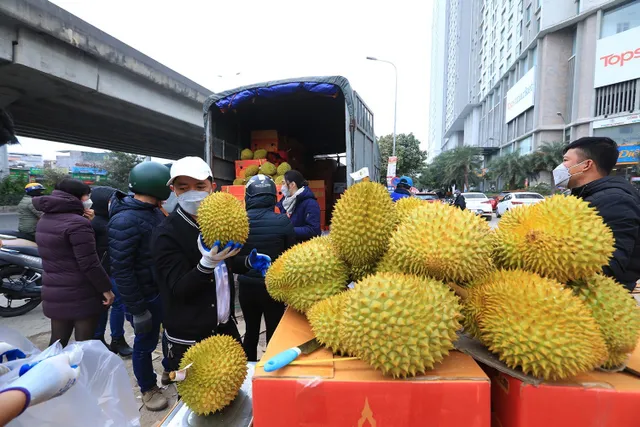 Ùn tắc cửa khẩu, mít, sầu riêng... đổ bộ đường phố Hà Nội - Ảnh 4. Ùn tắc cửa khẩu, mít, sầu riêng... đổ bộ đường phố Hà Nội - Ảnh 4.