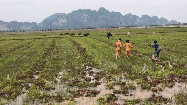 Ê-kíp Chiều cuối năm hối hả làm việc và những hình ảnh đặc biệt - Ảnh 3.