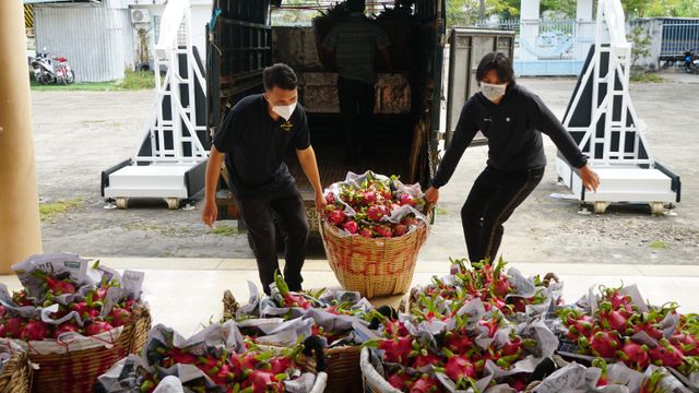 Hỗ trợ tiêu thụ nông sản nội địa để giảm áp lực cho xuất khẩu - Ảnh 1.