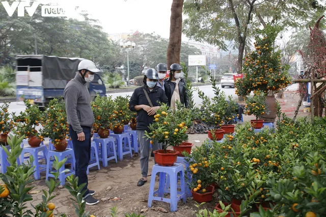 Đào, quất rộn ràng xuống phố - Ảnh 1. Đào, quất rộn ràng xuống phố - Ảnh 1.
