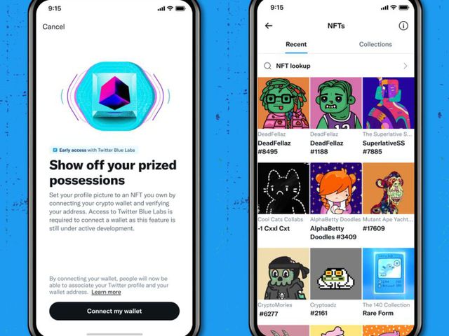 Twitter cho phép cập nhật ảnh đại diện bằng NFT - Ảnh 1.