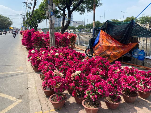 Các chợ hoa Tết tại TP Hồ Chí Minh đồng loạt đón khách - Ảnh 1.