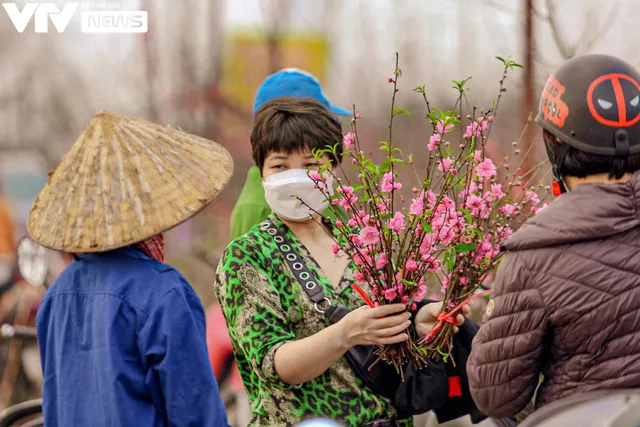 Vườn đào Nhật Tân khoe sắc thắm, người dân Thủ đô háo hức sắm Tết - Ảnh 5.