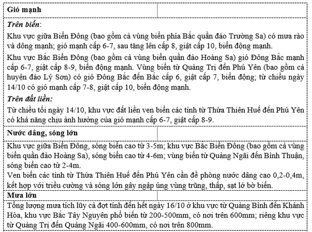 Tin áp thấp nhiệt đới khẩn cấp - Ảnh 2.