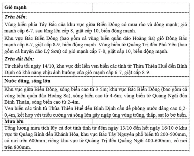 Áp thấp nhiệt đới áp sát miền Trung, có nơi mưa trên 800mm - Ảnh 3.