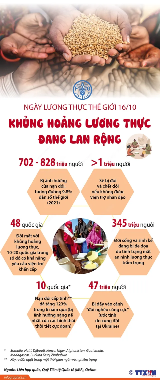 [INFOGRAPHIC] Khủng hoảng lương thực đang lan rộng - Ảnh 1.