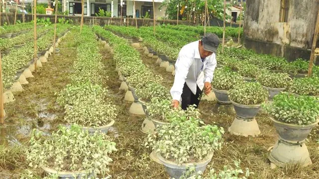 Khó khăn của người dân vùng lũ Thừa Thiên Huế - Ảnh 1.