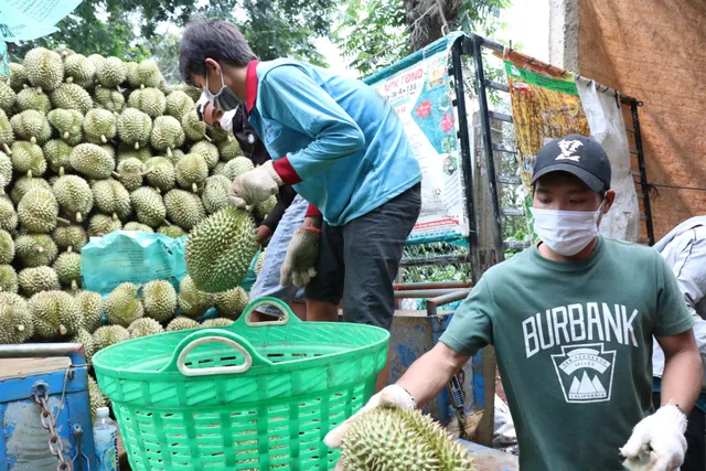 Điểm sáng trong xuất khẩu trái cây - Ảnh 1.