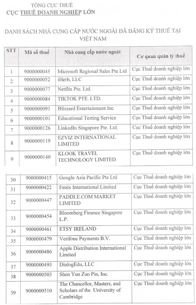 Công khai các nền tảng xuyên biên giới nộp thuế ở Việt Nam - Ảnh 1.