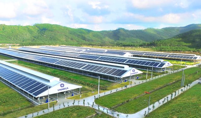 Góp phần cùng chính phủ thực hiện mục tiêu Net Zero 2050, Vinamilk tiếp tục hành trình trồng cây xanh - Ảnh 7.