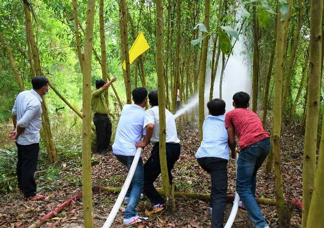 Cà Mau chủ động xây dựng phương án phòng cháy chữa cháy rừng - Ảnh 1.