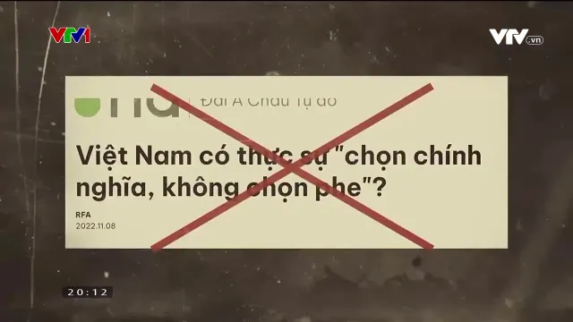 Phản bác những luận điệu chống phá, xuyên tạc đường lối đối ngoại của Việt Nam - Ảnh 1.