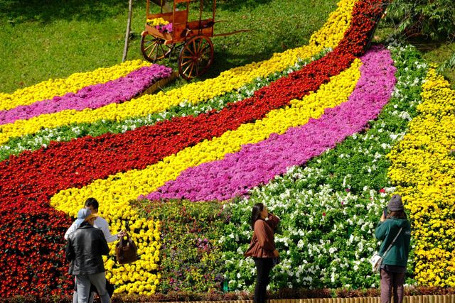 Festival hoa Đà Lạt 2022 chính thức khai mạc - Ảnh 13.