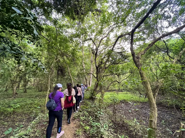 Thăm vùng lõi di sản Tràng An, thúc đẩy các tour du lịch liên kết các tỉnh đồng bằng sông Hồng - Ảnh 6.