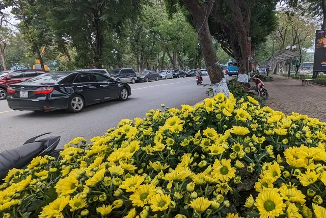 Không gian đi bộ quanh hồ Thiền Quang trang hoàng đẹp mắt trước ngày khai trương - Ảnh 11.