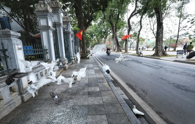 Hà Nội vắng vẻ, yên bình sáng mùng 1 Tết - Ảnh 1. Hà Nội vắng vẻ, yên bình sáng mùng 1 Tết - Ảnh 1.