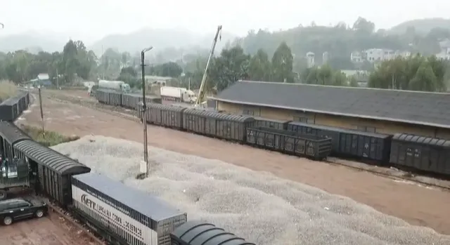 Vận tải hàng hóa sẽ là sản phẩm chính của ngành đường sắt - Ảnh 2. Vận tải hàng hóa sẽ là sản phẩm chính của ngành đường sắt - Ảnh 2.
