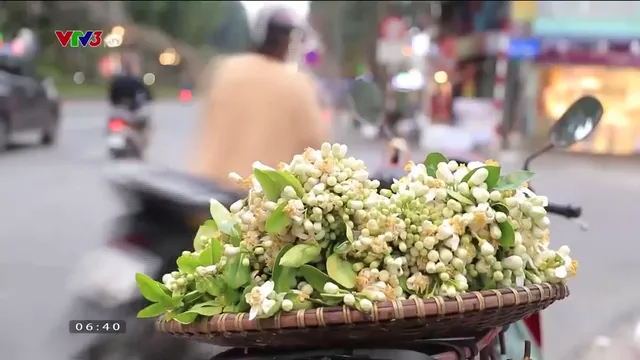 Hà Nội tháng 3 thơm ngát những gánh hoa bưởi - Ảnh 8.