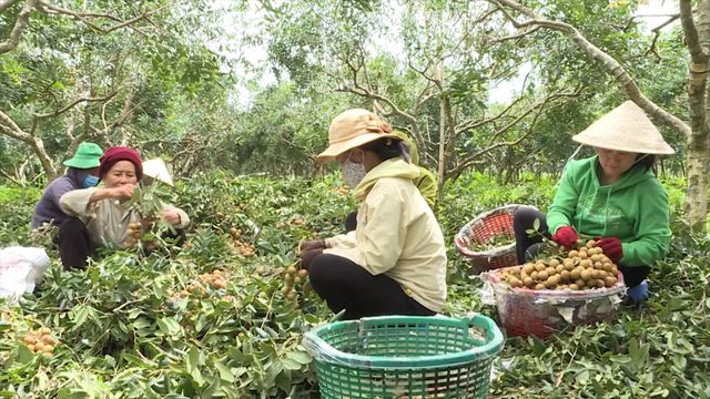 Xuyên Mộc quyết tâm hoàn thành mục tiêu xây dựng nông thôn mới - Ảnh 1.